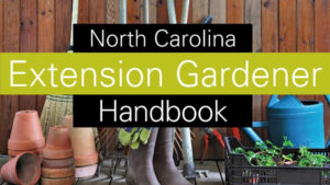 Cover photo for Quick Links to Extension Gardener Tools: Handbook, Plant Database, Online Classes, Newsletter