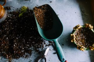 Potting soil in hand shovel; view from above.