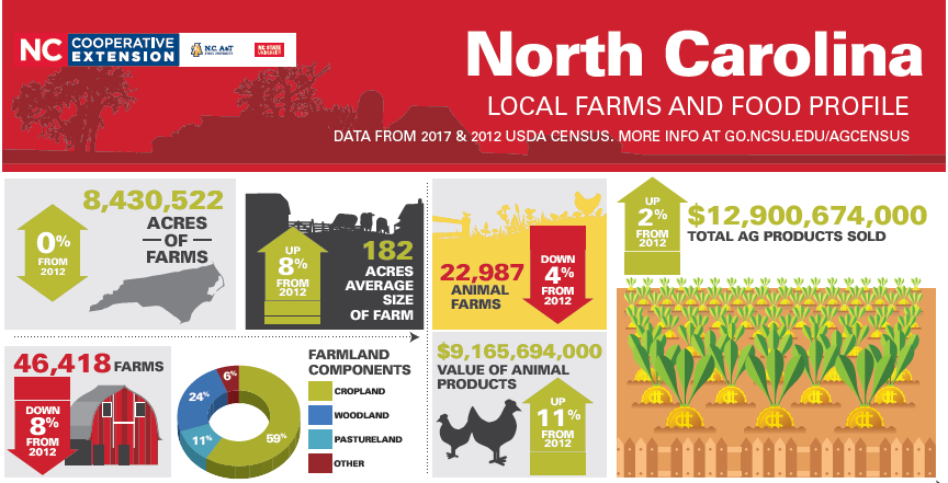 local food infographic