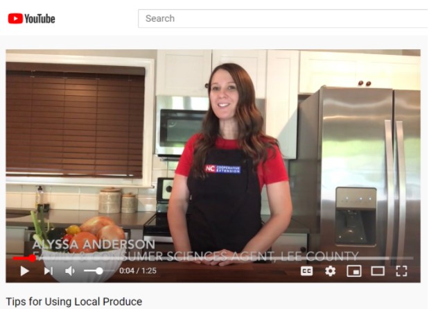 Alyssa Anderson gives cooking lessons through Youtube Videos.