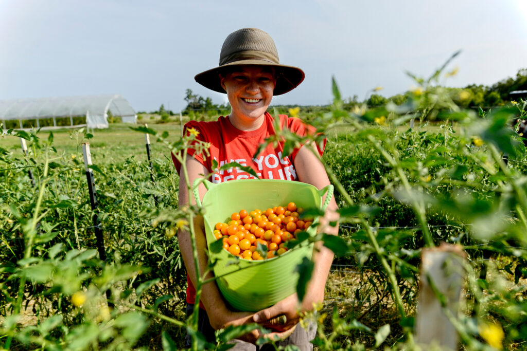 standing in a field with a basket of tomatoes