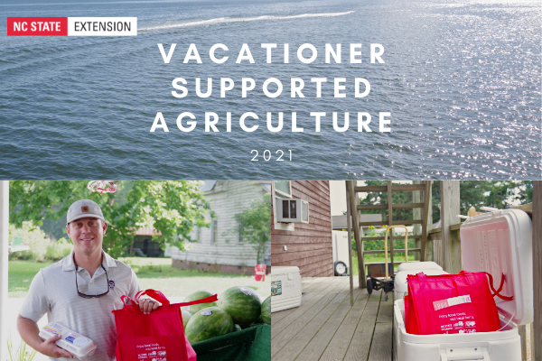 photo collage of vsa bags, farmers, and water.