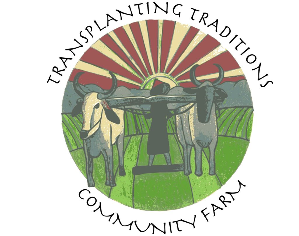 Transplanting Traditions Community Farm