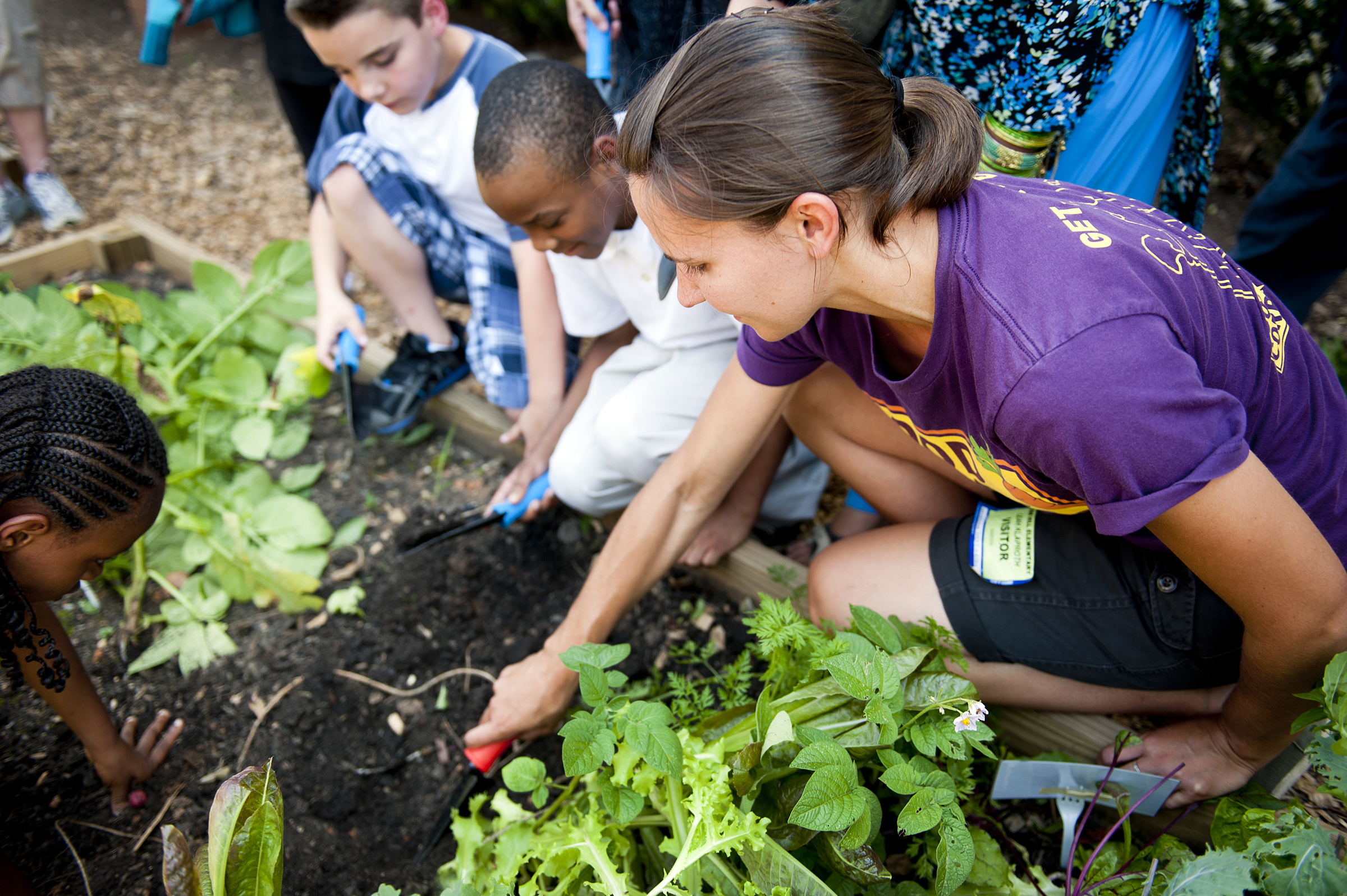 Students discovering healthy foods in the school garden.