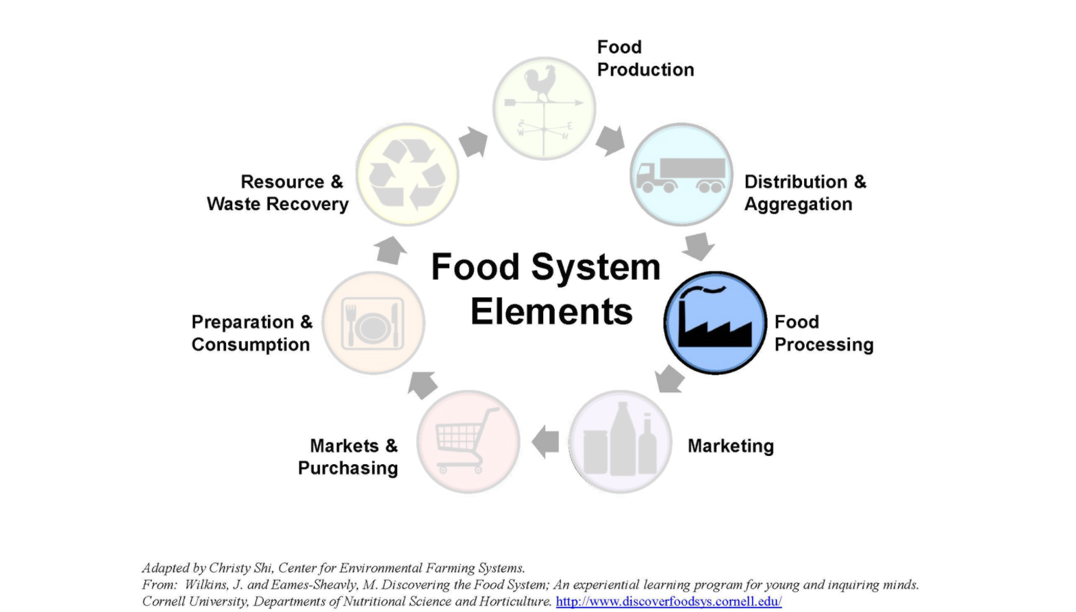 Diagram of food system elements