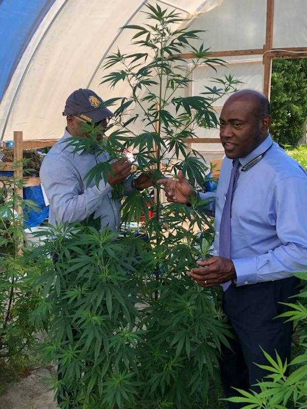 Two men inspect a plant in a greenhouse.