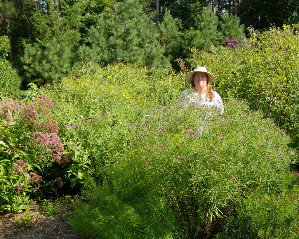 Debbie Roos Pollinator Garden