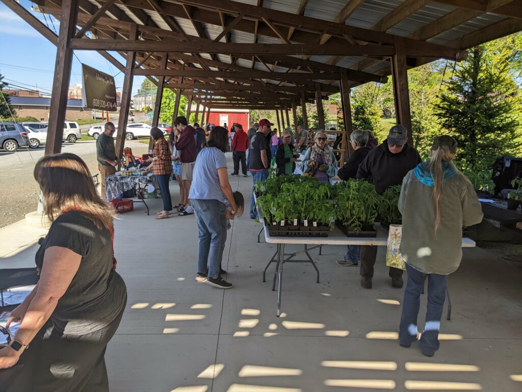 Alleghany County Farmers Market