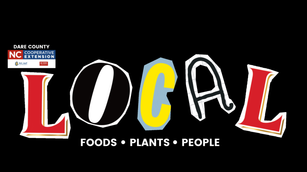 LOCAL Dare Co logo