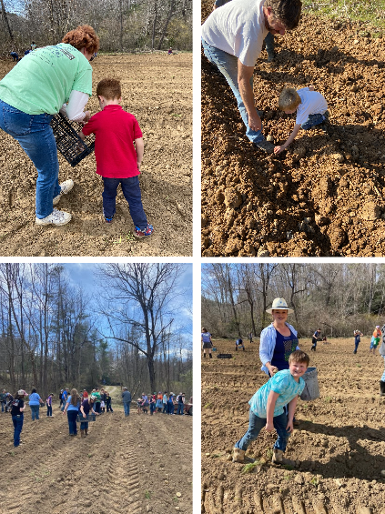 collage of gleaning project 