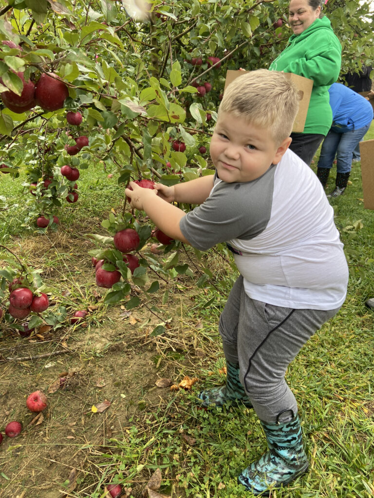 Reducing Food Waste and Nourishing Communities: The Power of Gleaning ...