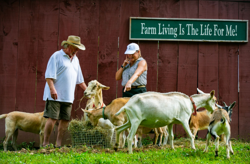 Local Food Nc State Extension