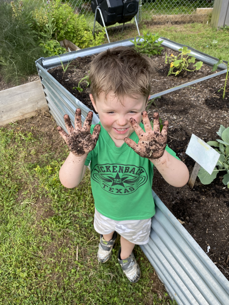 Preschool aged student showing dirt on his hands from the garden.
